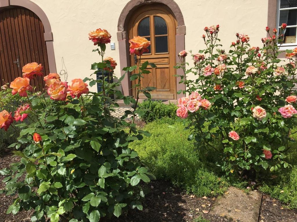 Ferienwohnung In Historischem Bauernhaus In Der Eifel Mettendorf Exteriör bild